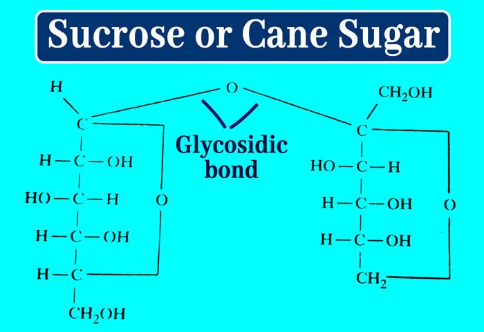 Sugar cane formula