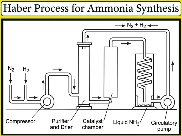 Haber-Process-for-Ammonia-Synthesis