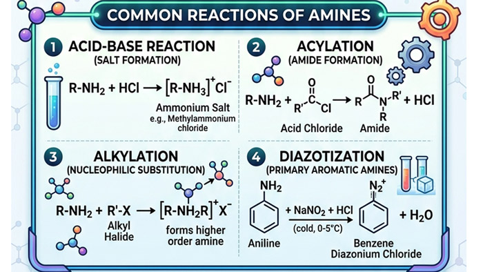 amines-reactions